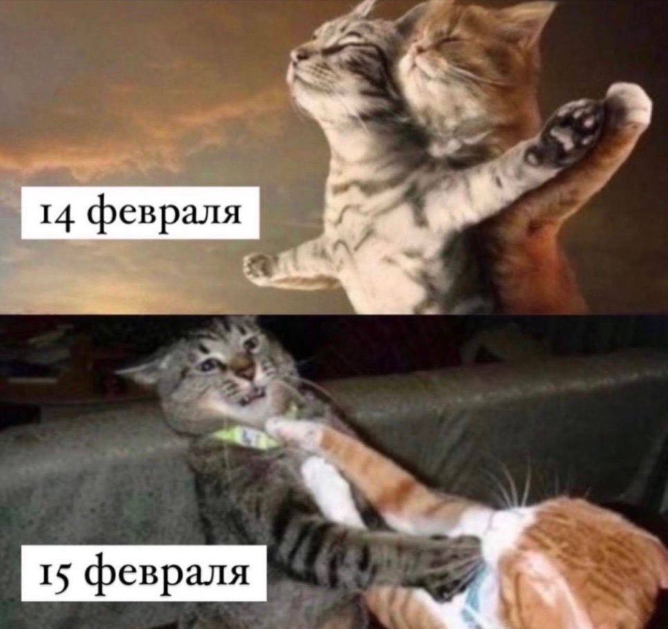 14 февраля