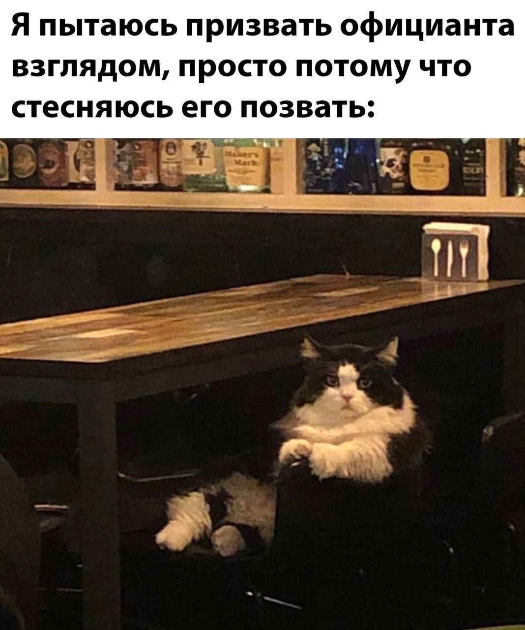 Я пытаюсь призвать официанта взглядом, просто потому что стесняюсь его позвать: