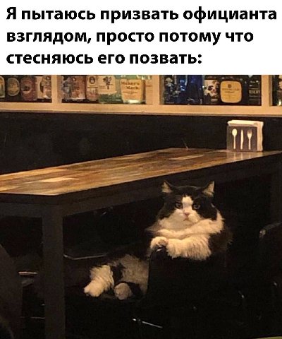Я пытаюсь призвать официанта взглядом, просто потому что стесняюсь его позвать: