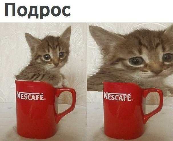 Подрос NESCAFE. NESCAFE.