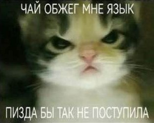 ЧАЯ ОБЖЕГ МНЕ ЯЗЫК БЫ ТАК НЕ ПОСТУПИЛА