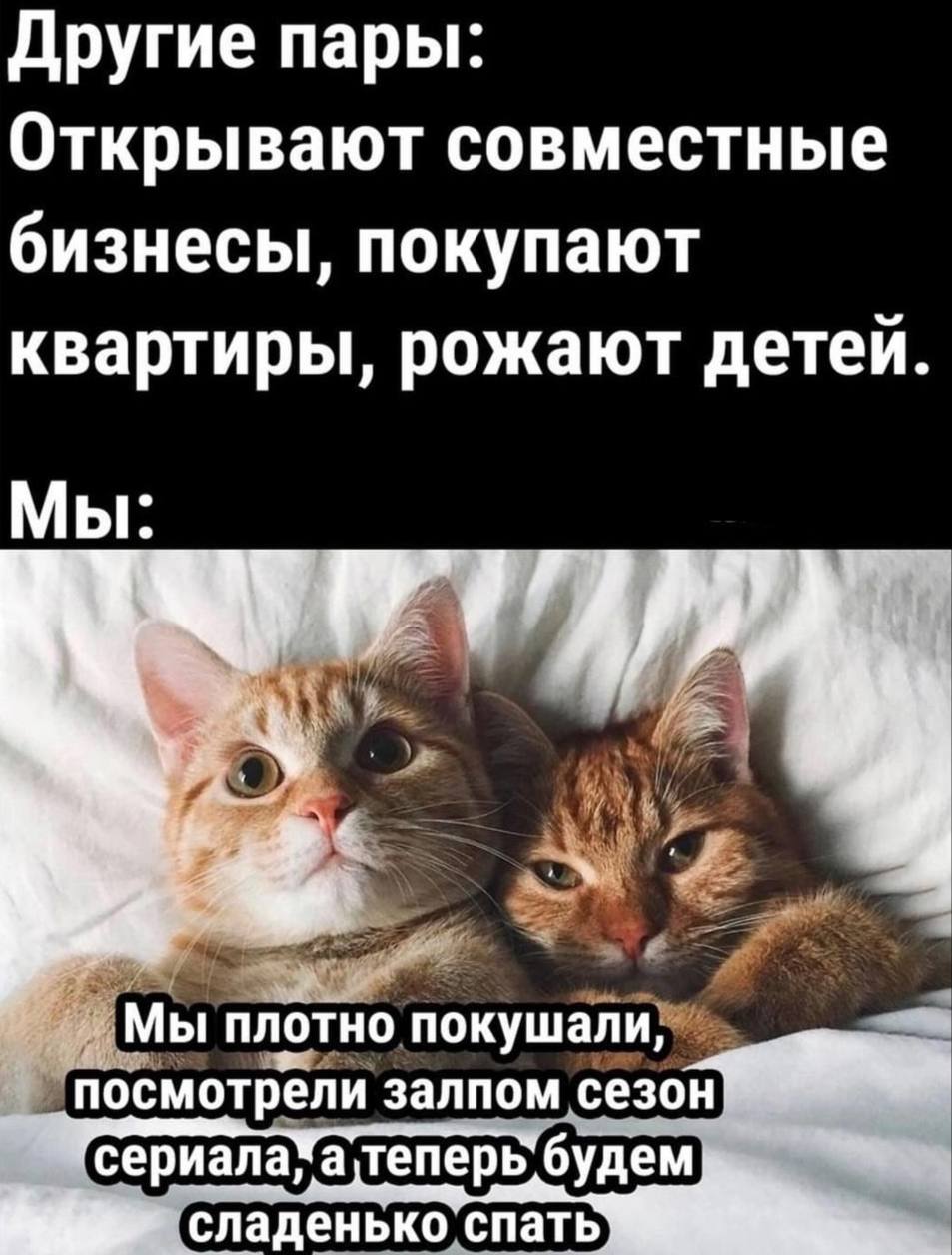 Другие пары: Открывают совместные бизнесы, покупают квартиры, рожают детей. Мы: Я Мы плотно “посмотрели залпом сезон сериалаХа сладенько спать