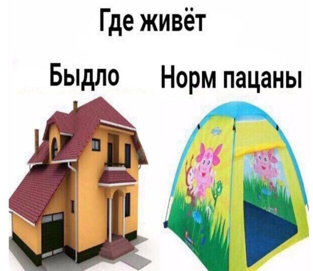 Где живёт Быдло Норм пацаны в