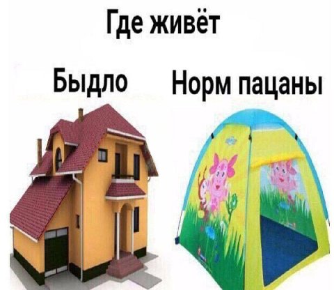 Где живёт Быдло Норм пацаны в
