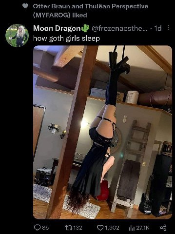 Moon Dragon how goth girls sleep