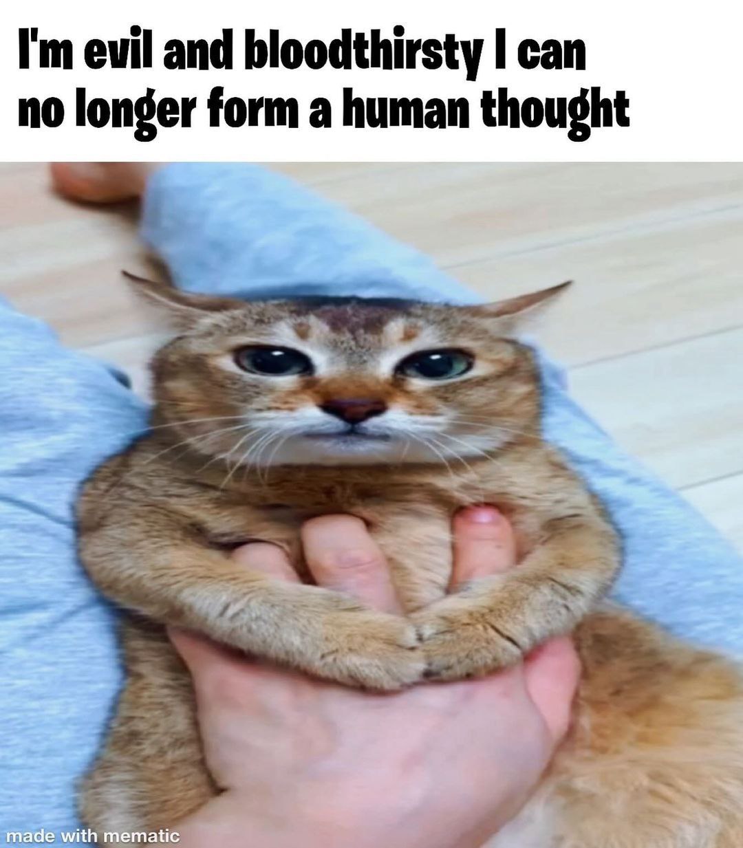 evil and bloodthirsty can no longer form a human thought made with mematic