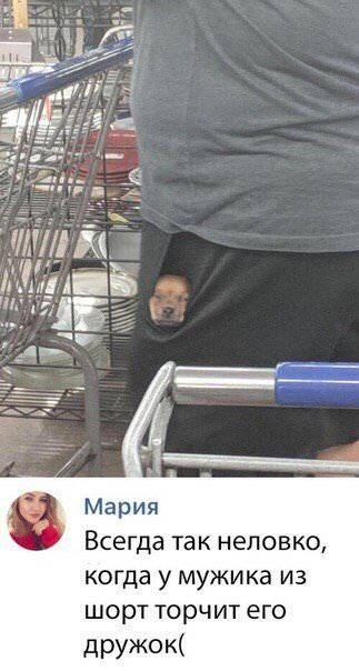 Мария Всегда так неловко, когда у мужика из шорт торчит его дружок(