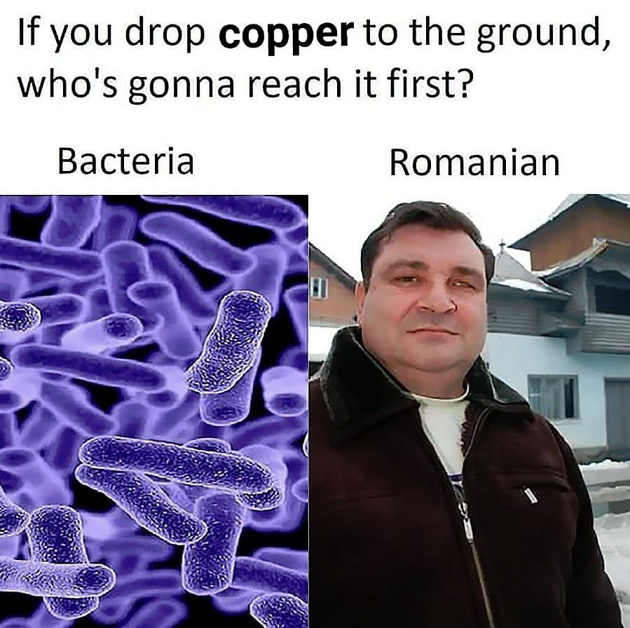 If you drop copper to the ground, who's gonna reach it first? Bacteria Romanian