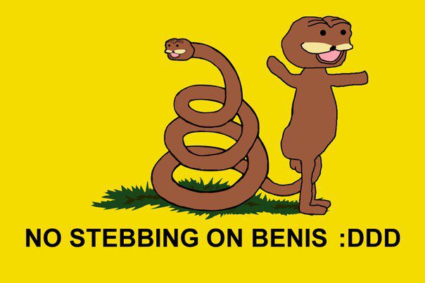 STEBBING ВЕМ!$ :DDD