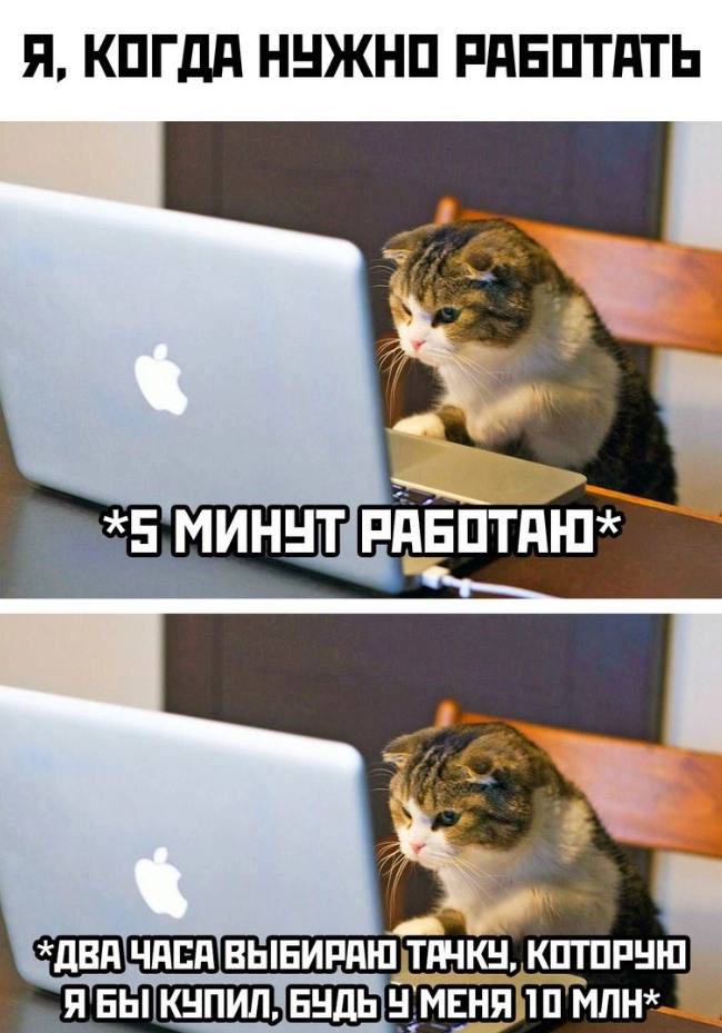 НУЖНО РАБОТАТ *5 МИНЧТ РАЕБТАЮ* *ДВА ЧАСА ВЫБИРАЮ КОТОРУЮ Я БЫ КУПИЛ, БУДЬ 10 МЛН»