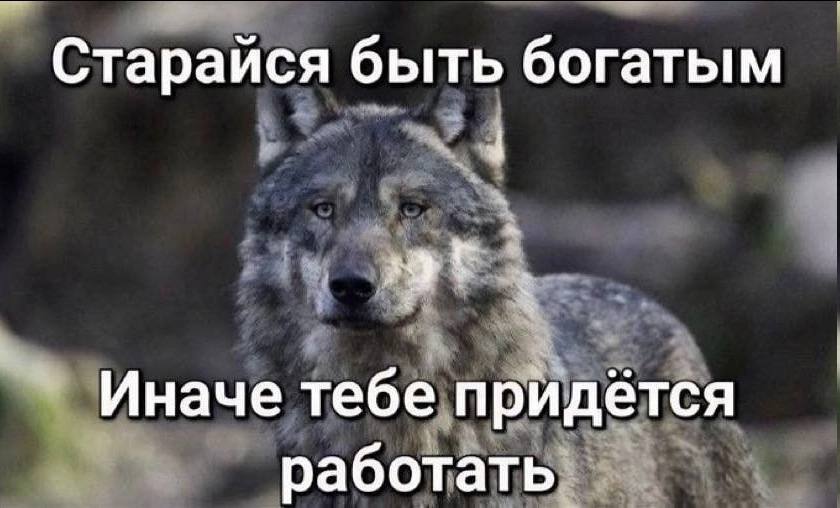 Старайся быть богатым Иначе тебе придётся работать`