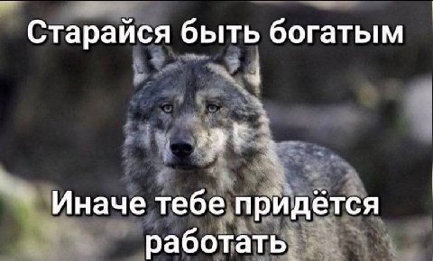 Старайся быть богатым Иначе тебе придётся работать`