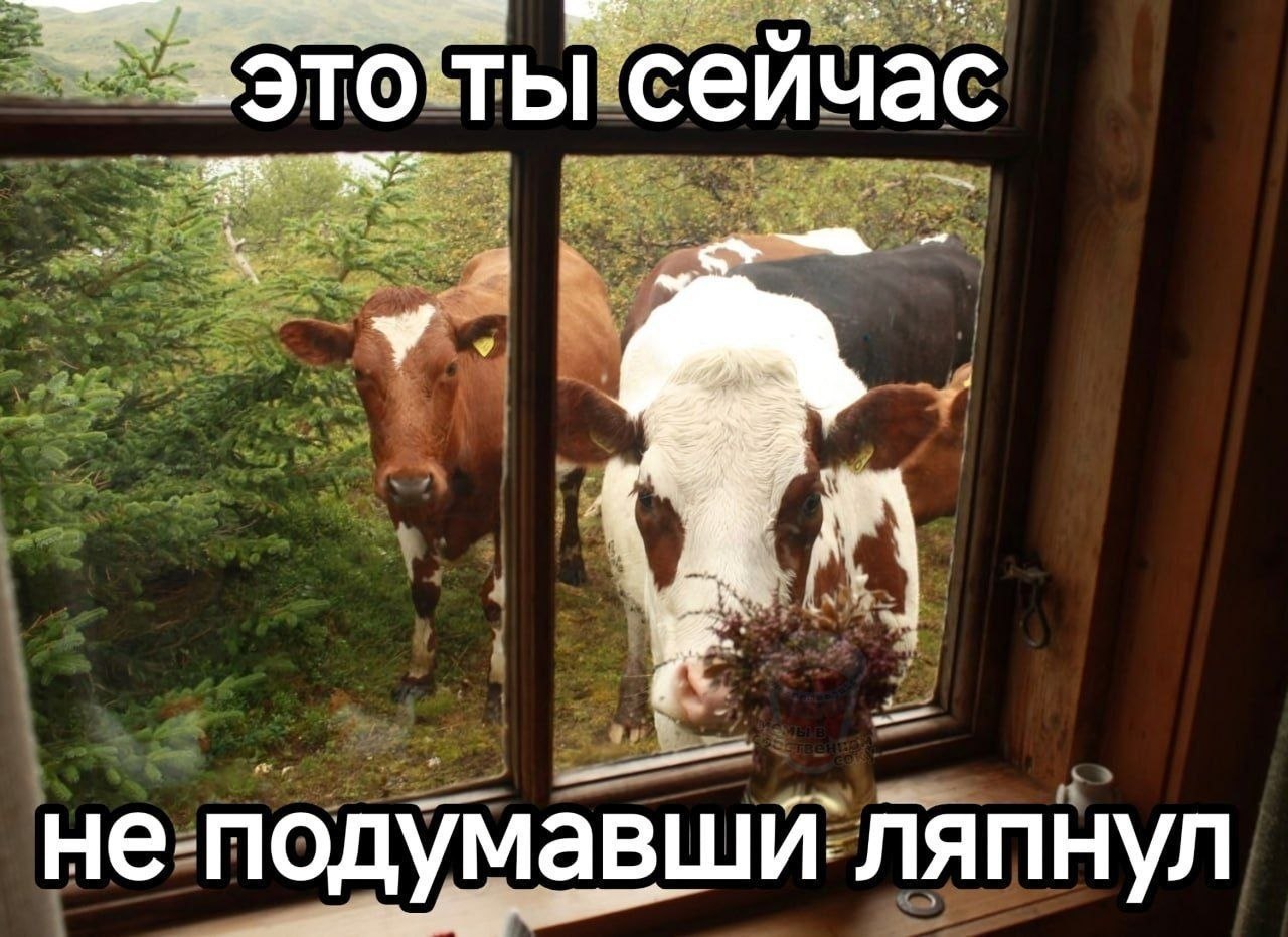 ты сейчас не подумавши ляпнул
