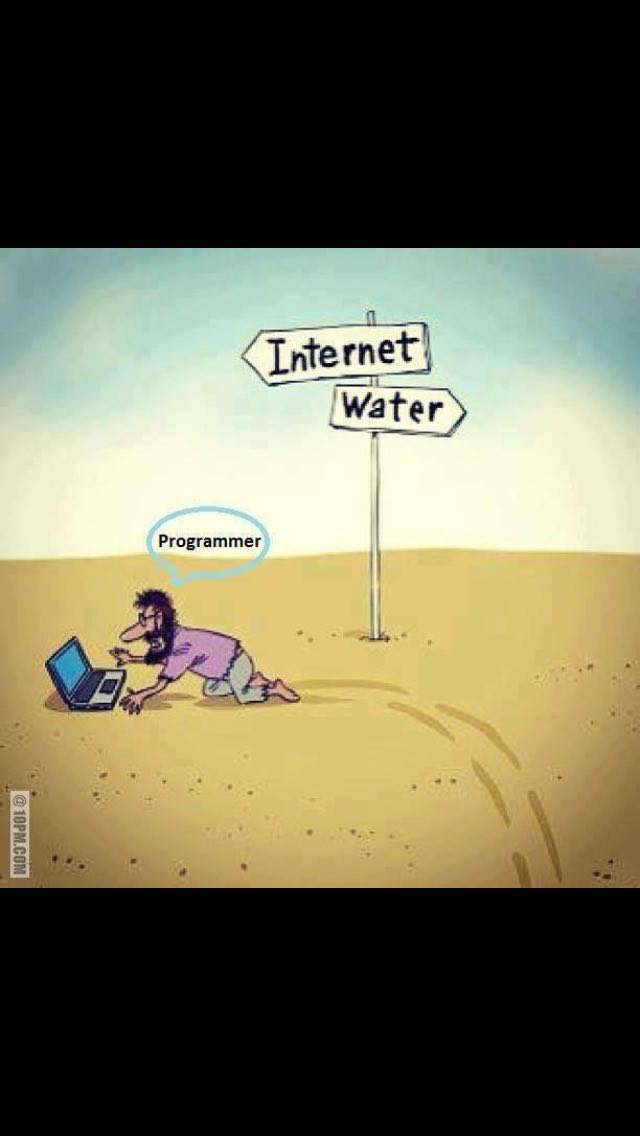 Programmer