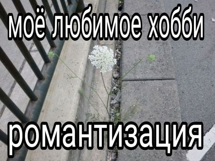 MOE бимое as романтизаци 4