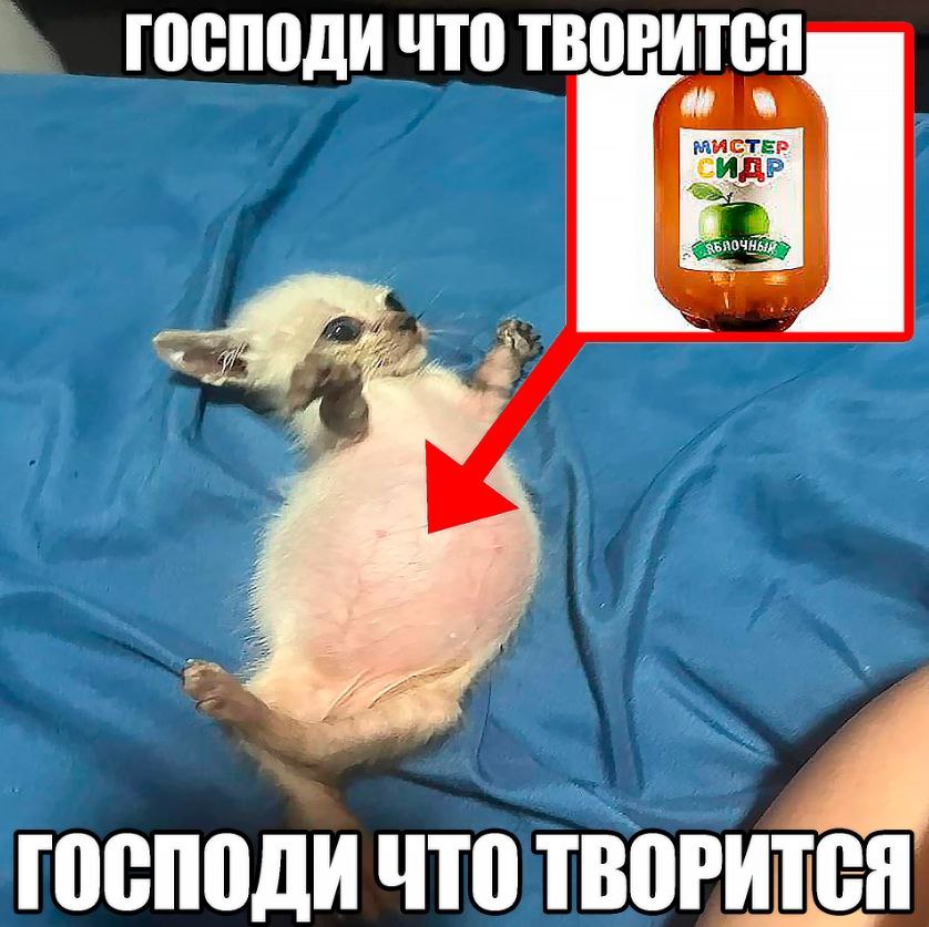 ГОСПОДИ ЧТО ТВОРИТСЯ ГОСПОДИ ЧТО ТВОРИТСЯ