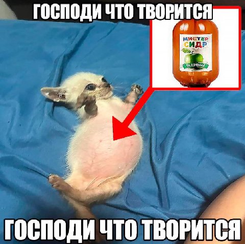 ГОСПОДИ ЧТО ТВОРИТСЯ ГОСПОДИ ЧТО ТВОРИТСЯ