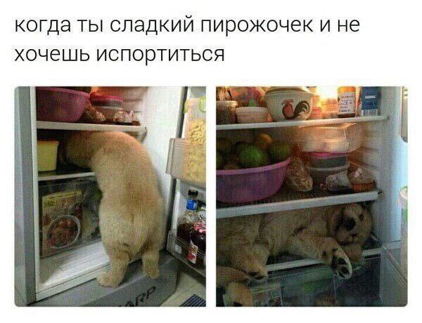 когда ты сладкий пирожочек и не хочешь испортиться