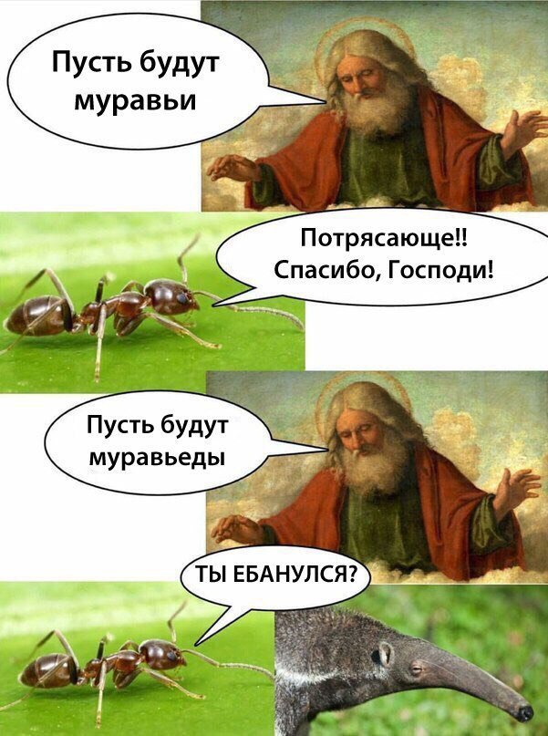 Пусть будут муравьи A Потрясающе!! Спасибо, Господи! 5 4 Пусть будут муравьеды ТЫ ЕБАНУЛСЯ?