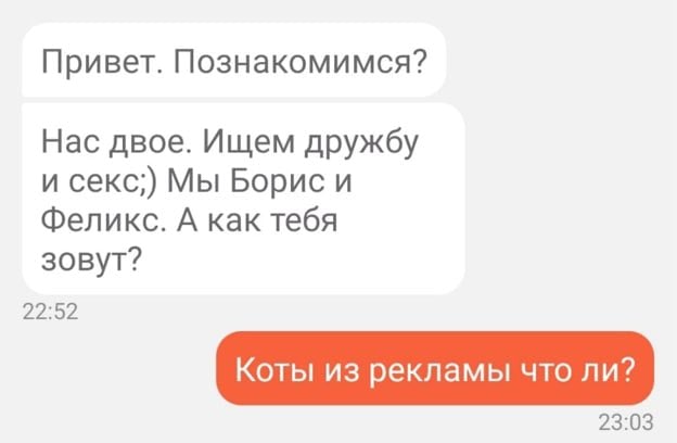 Привет. Познакомимся? Нас двое. Ищем дружбу и секс;) Мы Борис и Феликс. А как тебя зовут? 22:52 Коты из рекламы что ли? 23:03