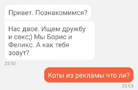 Привет. Познакомимся? Нас двое. Ищем дружбу и секс;) Мы Борис и Феликс. А как тебя зовут? 22:52 Коты из рекламы что ли? 23:03