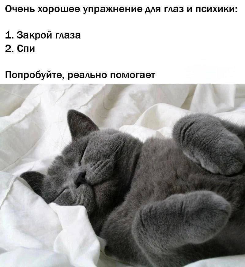 Очень хорошее упражнение для глаз и психики 1. Закрой глаза 2. Спи Попробуйте, реально помогает