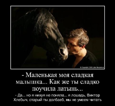 4 Маленькая моя сладкая малышка... Как же ты сладко поучила латынь... Да... но я нихуя не поняла... я лошадь, Виктор Хлебыч. старый ты долбаеб. мы не умеем читать