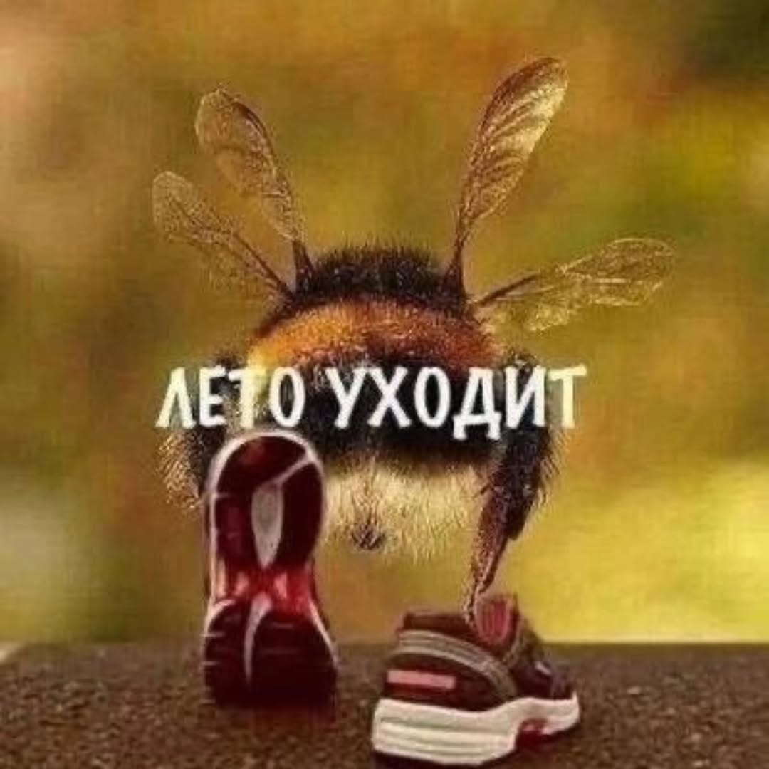 ЛЕТО УХОДИТ