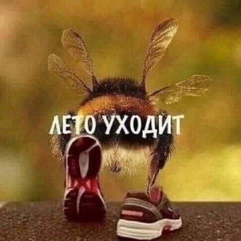 ЛЕТО УХОДИТ