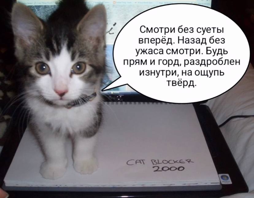 Смотри без суеты вперёд. Назад без ужаса смотри. Будь прям и горд, раздроблен изнутри, на ощупь твёрд.