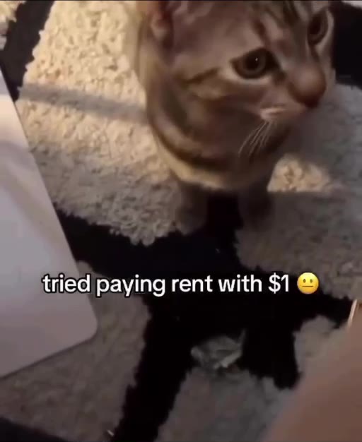 tried| paying rent with $1 @ т