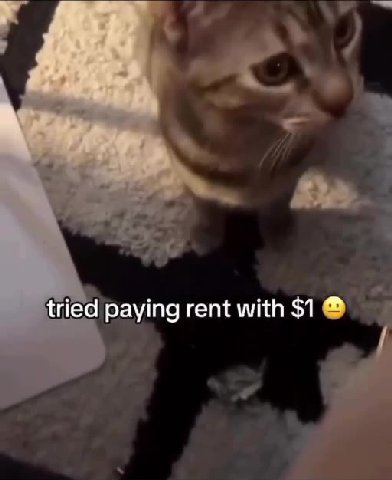 tried| paying rent with $1 @ т