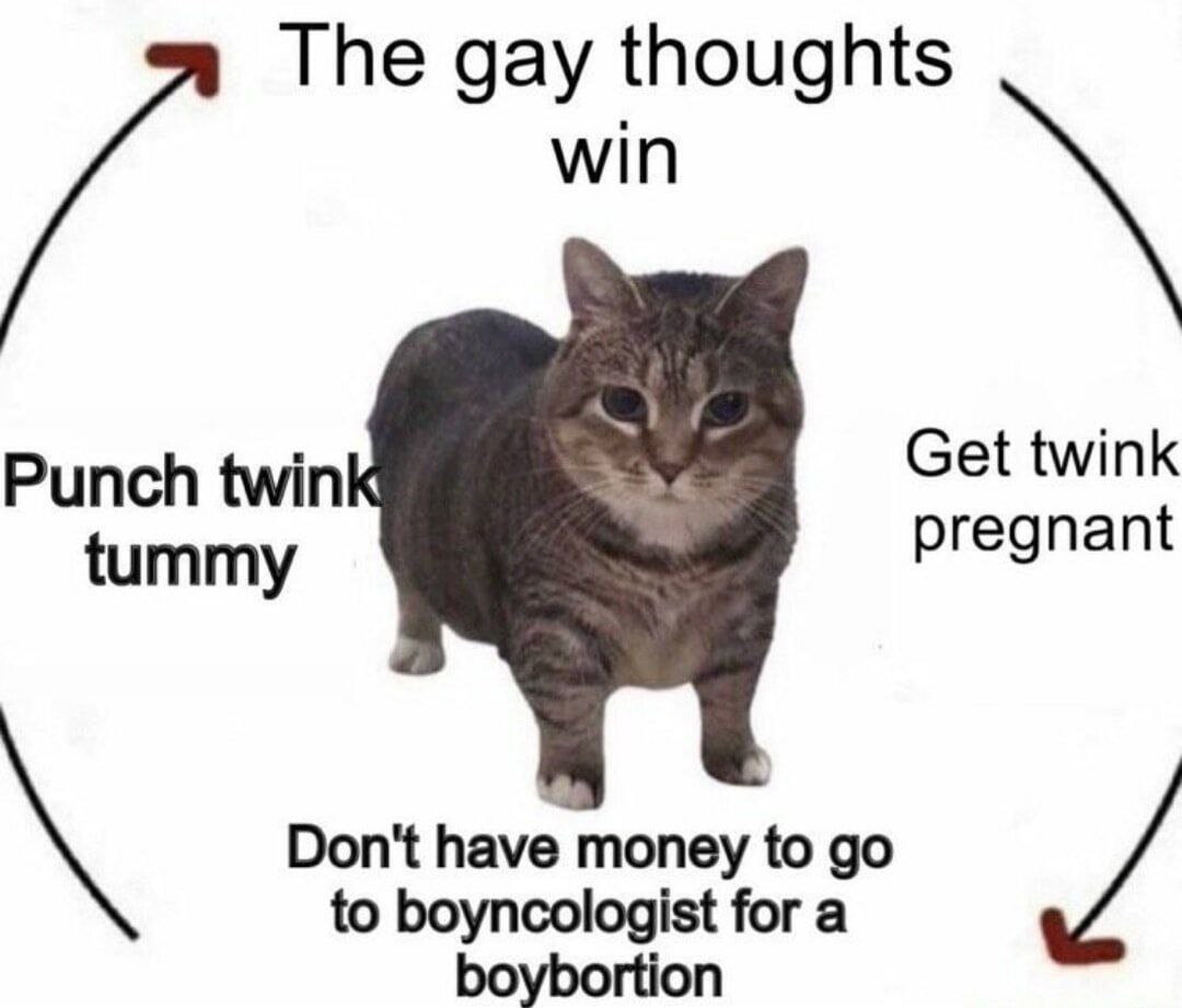 The gay thoughts win Punch twin Get twink tummy pregnant Don't have money to to boyncologist for a boybortion