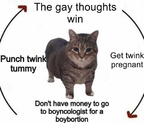 The gay thoughts win Punch twin Get twink tummy pregnant Don't have money to to boyncologist for a boybortion