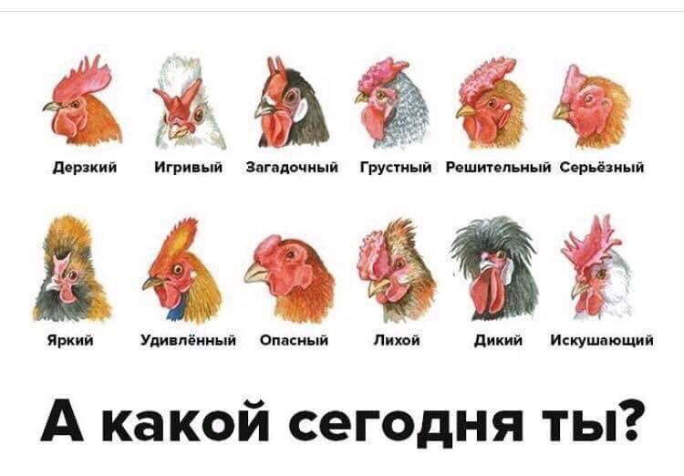 Дерзкий Игривый Грустный Решительный Серьёзный Яркий Удивлённый Опасный Дикий Искушающий А какой сегодня ты?