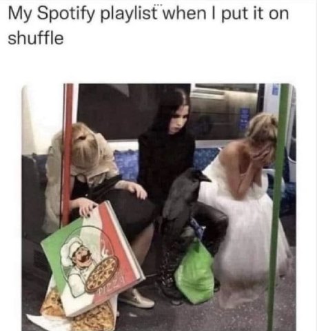 My Spotify playlist when put it on shuffle