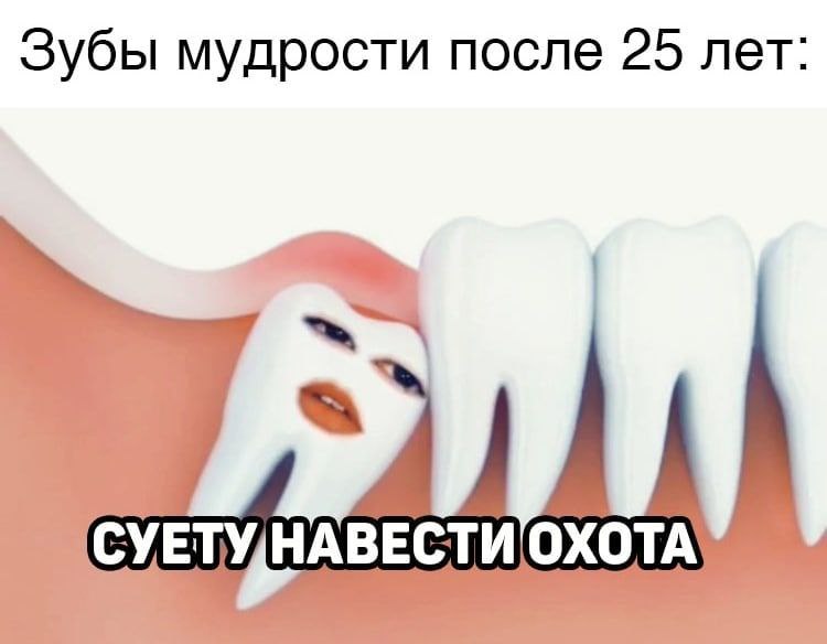 Зубы мудрости после 25 лет: СУЕТУ/НАВЕСТИ ОХОТА