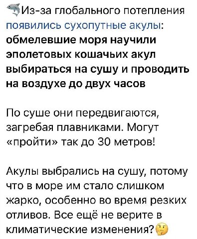 Из-за глобального потепления появились сухопутные акулы: обмелевшие моря научили эполетовых кошачьих акул выбираться на сущу и проводить на воздухе до двух часов По суше они передвигаются, загребая пл