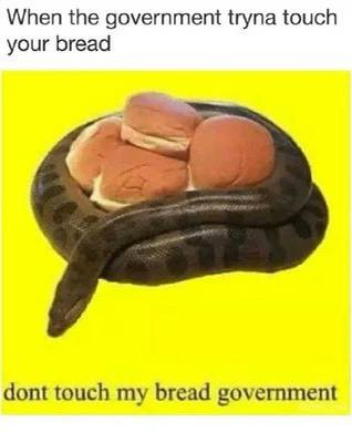 When the government tryna touch your bread dont touch my bread government