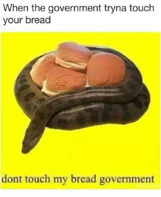 When the government tryna touch your bread dont touch my bread government