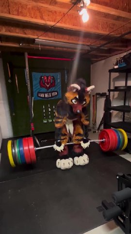 bol