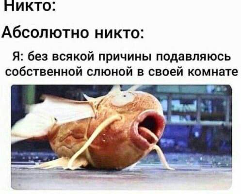 НИКТО: Абсолютно никто: Я: без всякой причины подавляюсь собственной слюной в своей комнате