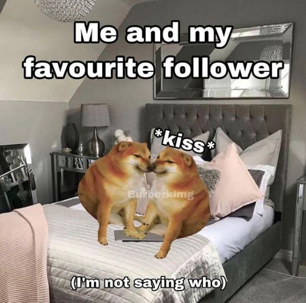 No homo...