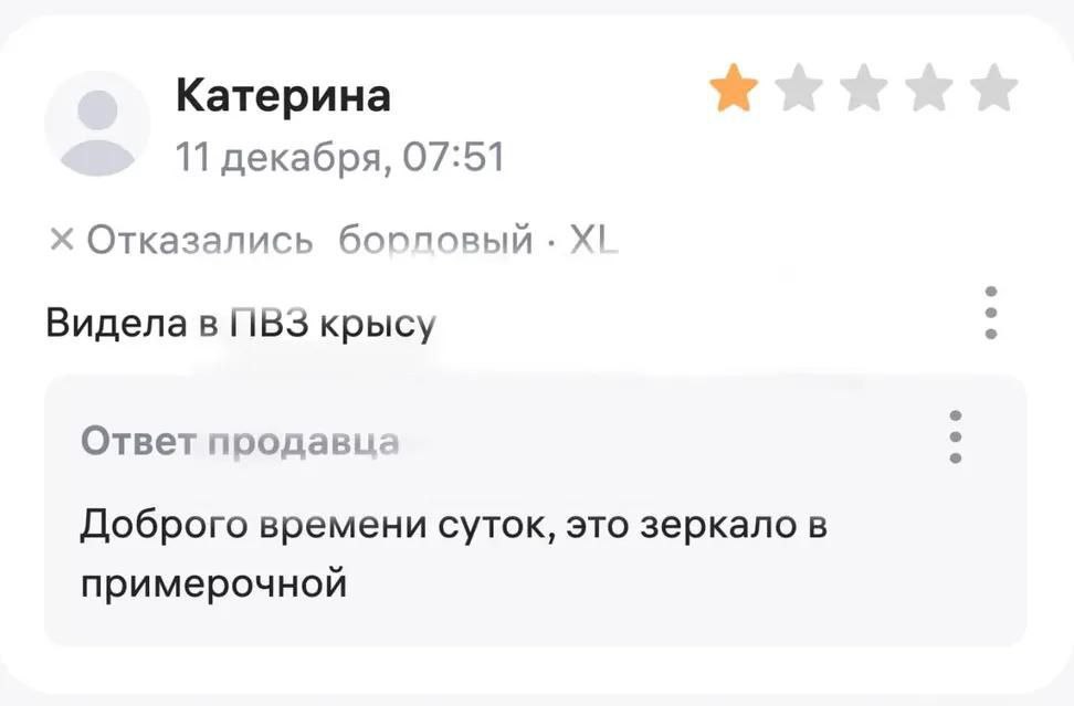 Катерина 11 декабря, 07:51 Отказались борловый Видела в ПВЗ крысу Ответ продавца Доброго времени суток, это зеркало в примерочной