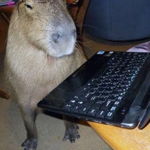 a у a a у и