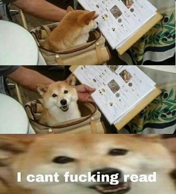 cant fucking read