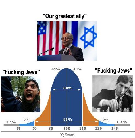 “Our greatest ally" 34% 34% "Fucking Jews" 68% 95% 0.1% 2% 2% 0.1% 55 70 85 100 115 130 145 ТО Score