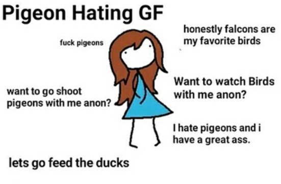 Pigeon Hating honestly falcons are fuck pigeons my favorite birds Want to watch Birds want to shoot with me anon? pigeons with me anon? hate pigeons and i have a great ass. lets feed the ducks