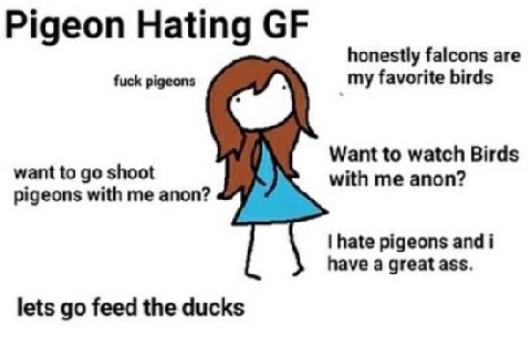 Pigeon Hating honestly falcons are fuck pigeons my favorite birds Want to watch Birds want to shoot with me anon? pigeons with me anon? hate pigeons and i have a great ass. lets feed the ducks