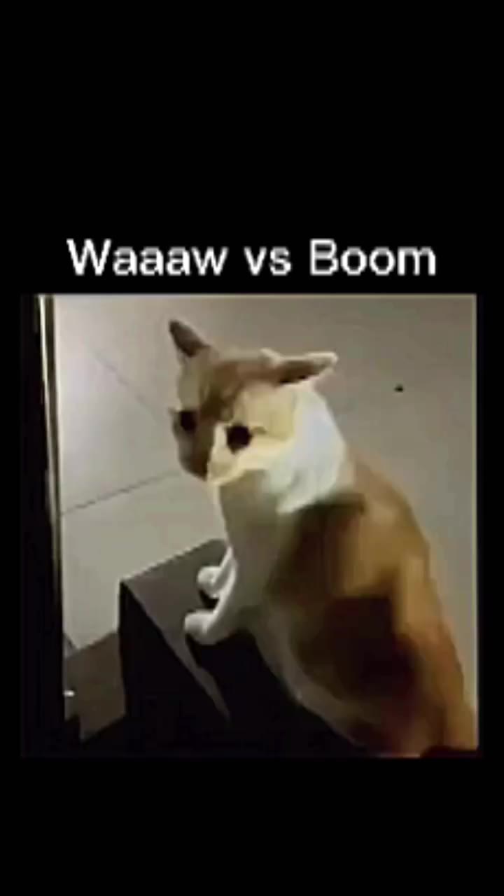 Waaaw Boom